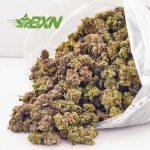 Order weed online Hulkamania strain weed online from Bud Express Now BC bud and BC Cannabis Canada.