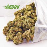 Order weed online strawberry cough strain at BudExpressNow online dispensary. buy weeds online. buymyweedonline. indica strains.