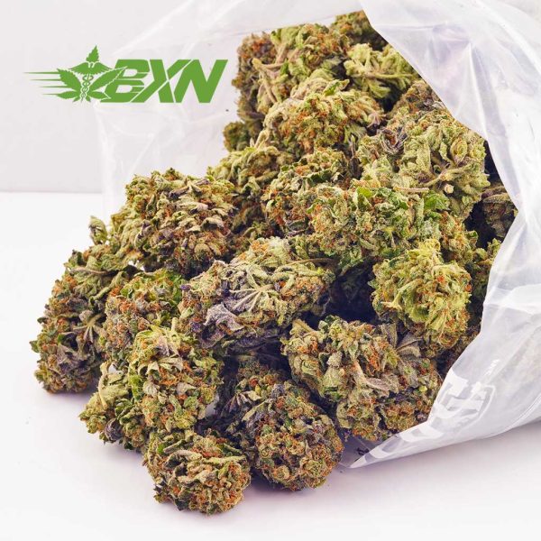 Order weed online Sensi Star buds from BudExpressNow online dispensary. bc bud express. buy bud online. buy shatter. aaaa weed.