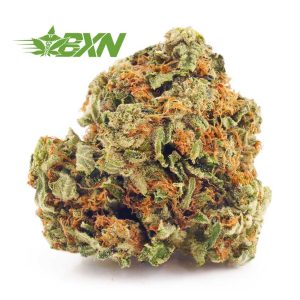 Buy weed online Afghan Kush strain from Bud Express Now online dispensary. weed online canada. shatter pen. girl scout cookie strain. lemon kush & purple kush.