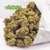 Buy Afghan Kush weed online at the best mail order marijuana weed shop online in Canada. buy weeds online. buymyweedonline. indica strains.