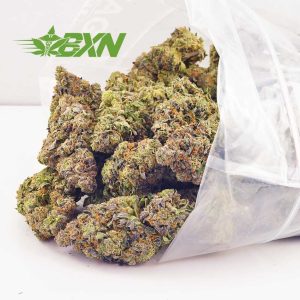 Buy mike tyson strain weed online from Bud Express Now online dispensary in Canada. buy online weeds. buy my weed online. weed canada.