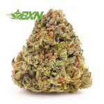 Buy weeds online Gouda Berry from online weed dispensary Bud Express Now. pot shop. cannabis dispensary. cheap weed canada.