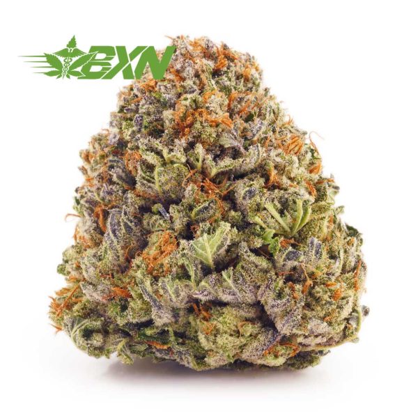 Buy weed Gorilla Breath strain from Bud Express Now online dispensary Canada for BC cannabis. buy cannabis online canada.