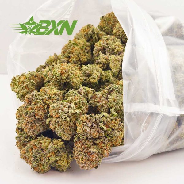 Canada weed Gorilla Breath strain at online dispensary for mail order marijuana. dispensary. buy online weeds. budgetbuds.