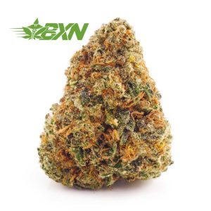 Buy bud now Death Scout strain weed online Canada. online dispensary. cannabis canada. weed online.