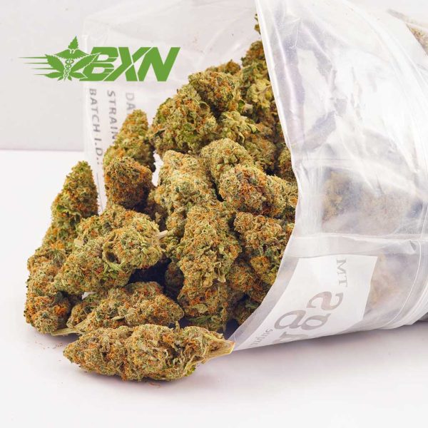 Canada weed Death Scout strain mail order marijuana. xpressbud. buy bud now from budexpressnow.