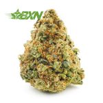 Blue Afghani weed online Canada. online dispensary. weed shop. weed delivery canada. bc cannabis stores.