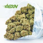 Buy weed online Blue Afghani strain at online dispensary in Canada for mail order weed. Canadian online dispensary. buy weeds online. cannabis canada. buymyweedonline.