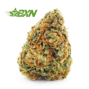 Lemon Sour Diesel budgetbuds weed online Canada. buy weed. ontario marijuana. canada weed.