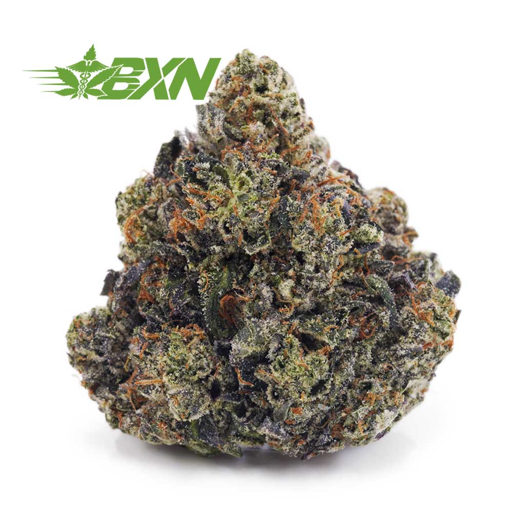 Buy Tom Ford Pink Kush AAAA at BudExpressNOW Online.
