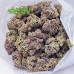 Buy Strawberry Haze AAA at BudExpressNOW Online