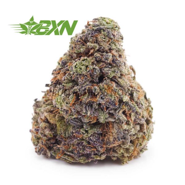 Buy Forbidden Fruit AAAA at BudExpressNOW Online