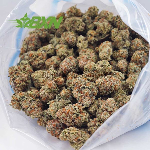 Buy Gorilla Breath AA at BudExpressNOW Online