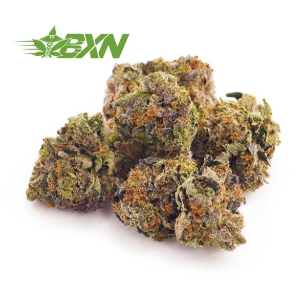 Buy weed online Canada Sensi Star strain. dispensary vancouver. cheap weed canada. marijuana dispensary.