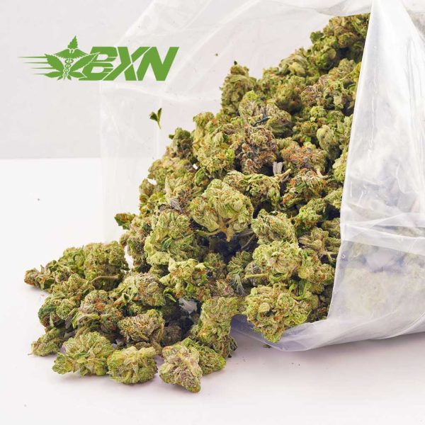 Buy Master Jedi weed online Canada. cheapbuds. thc e juice. diamonds concentrate. xpressbud. buy cannabis online canada.