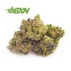 Buy weed online Tropicana strain at canada dispensary & weed shop online Bud Express Now. cannabis online. Dispencary. mail order marijuana.