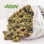 Tropicana strain weed online at online dispensary Canada Bud Express Now. buy low buds. buy edibles canada. mail order weed. cheapbuds.