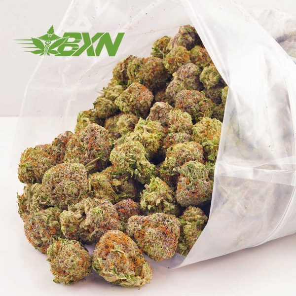 Buy God Bud weed at mail order weed dispensary Bud Express Now BC cannabis. canada dispensary. weed shop online. cannabis online. Dispencary.