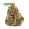 By low buds Jack Frost weed online. cheap weed. budgetbuds at online weed dispensary for BC cannabis. dispensary vancouver.