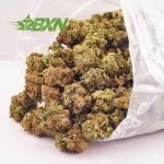 Buy weed King Bubba strain from weed dispensary for cheapweed online in Canada. thc distillate. indica strains. hash online. live rosin. Dispencary.