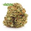 Mail order weed Pink Punch strain from BC cannabis online dispensary for mail order weed canada. buy online weeds. budgetbuds.