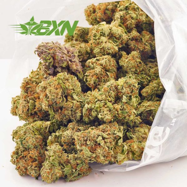 Buy weed online Canada. Pink Punch strain from online dispensary and mail order weed shop Bud Express Now. BC cannabis. cheap weed. cheapbuds.