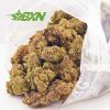 Buy my weed online. Super Nuken strain from online dispensary in Canada. weed delivery canada. mail order cannabis canada. concentrates canada. Dispencary.