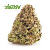 Buy Chemdawg AAA at BudExpressNOW Online
