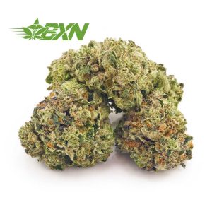 Buy Blue Rhino AAAA (Popcorn) at BudExpressNOW Online