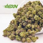 Buy Blue Rhino AAAA (Popcorn) at BudExpressNOW Online