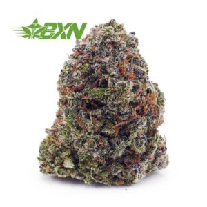 Buy Rockstar AAAA at BudExpressNOW Online