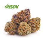 order weed canada Jack Herer strain bud from BC cannabis weed dispensary for mail order marijuana. dispensary. buy online weeds. budgetbuds.