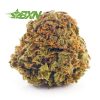 Buy weeds online Orange Crush strain from mail order weed dispensary bud express now BC cannabis. weed delivery canada. bc cannabis stores. sativa strains.