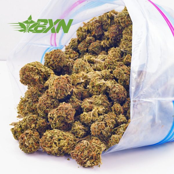 Buy Orange Crush weed online Canada at Bud Express Now online dispensary to buy BC cannabis. buy weed canada. mail order weed.