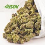 Buy Platinum Gelato AAA at BudExpressNOW Online Shop