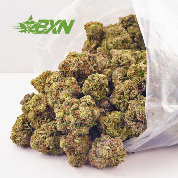 Buy BluebBuy Blueberry Kush AAAA at BudExpressNOW Online Shoperry Kush AAAA at BudExpressNOW Online Shop