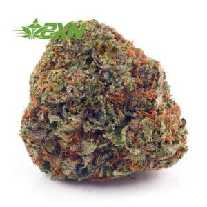 Buy Slurricane AAAA at BudExpressNOW Online Shop.