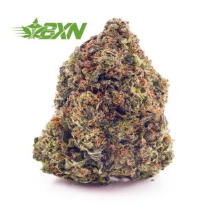 Buy Fruity Pebbles OG AAAA at BudExpressNOW Online Shop