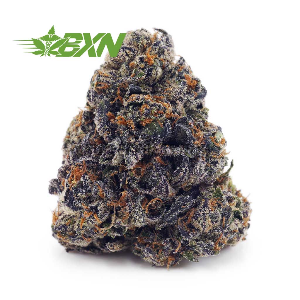 Buy Master Yoda AAA at BudExpressNOW Online Shop