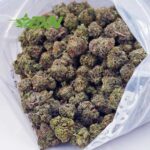 Buy Blackberry OG AA at BudExpressNOW Online Shop