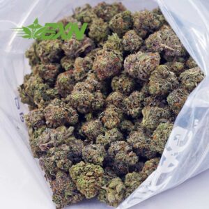 Buy Blackberry OG AA at BudExpressNOW Online Shop