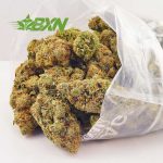 Buy Grapefruit Diesel AAAA at BudExpressNOW Online Shop