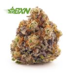 Buy Ice Cream Cookies (Craft) at BudExpressNOW Online Shop