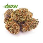 Buy Tangerine Haze AAAA (Popcorn) at BudExpressNOW Online Shop