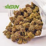 Buy Tangerine Haze AAAA (Popcorn) at BudExpressNOW Online Shop