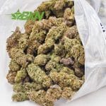 Buy Mango Kush AA at BudExpressNOW Online Shop.