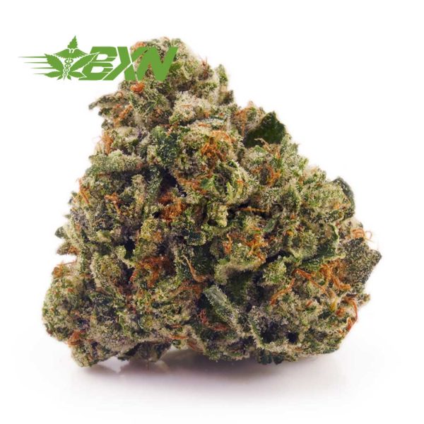Buy Blueberry Bomb AAA at BudExpressNOW Online Shop.