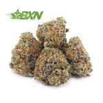 A pile of green, orange, and purple cannabis buds