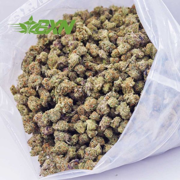 A bag of marijuana with purple and brown buds